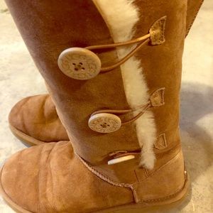 Tall Chestnut Ugg Boots